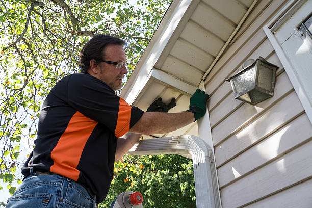 Best Siding Replacement  in Keary, NE